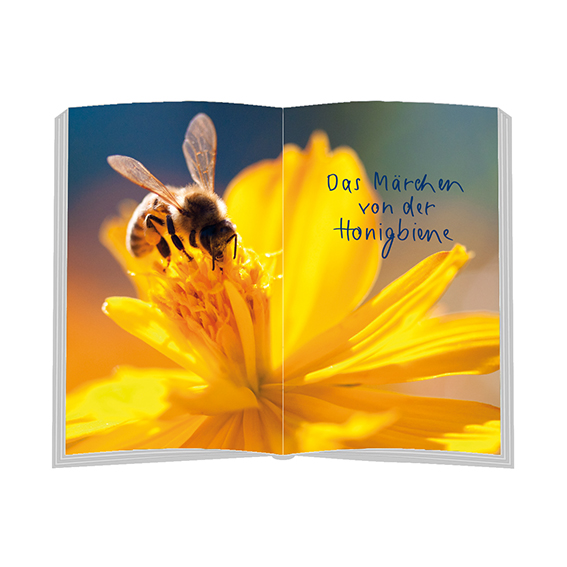 9783987001918_innenansicht_02 9783987001918_innenansicht_02.jpg