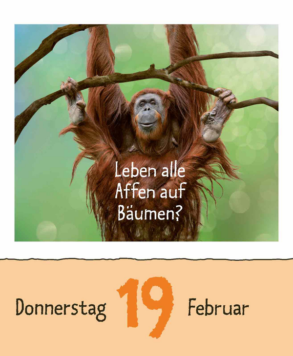 9783731889199_innenansicht_04.jpg