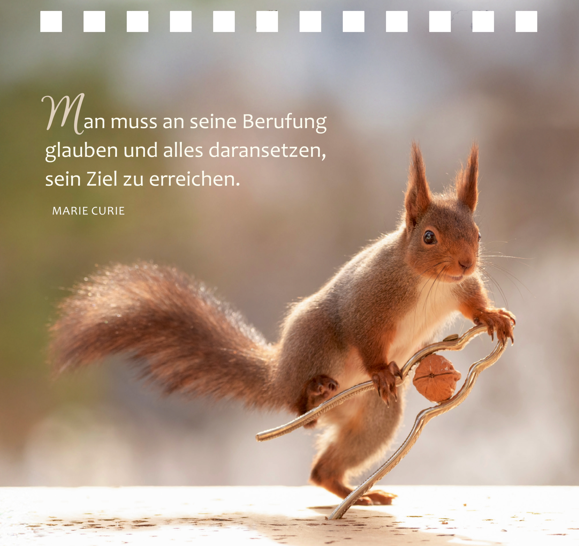 9783649651628_innenansicht_13 9783649651628_innenansicht_13.jpg