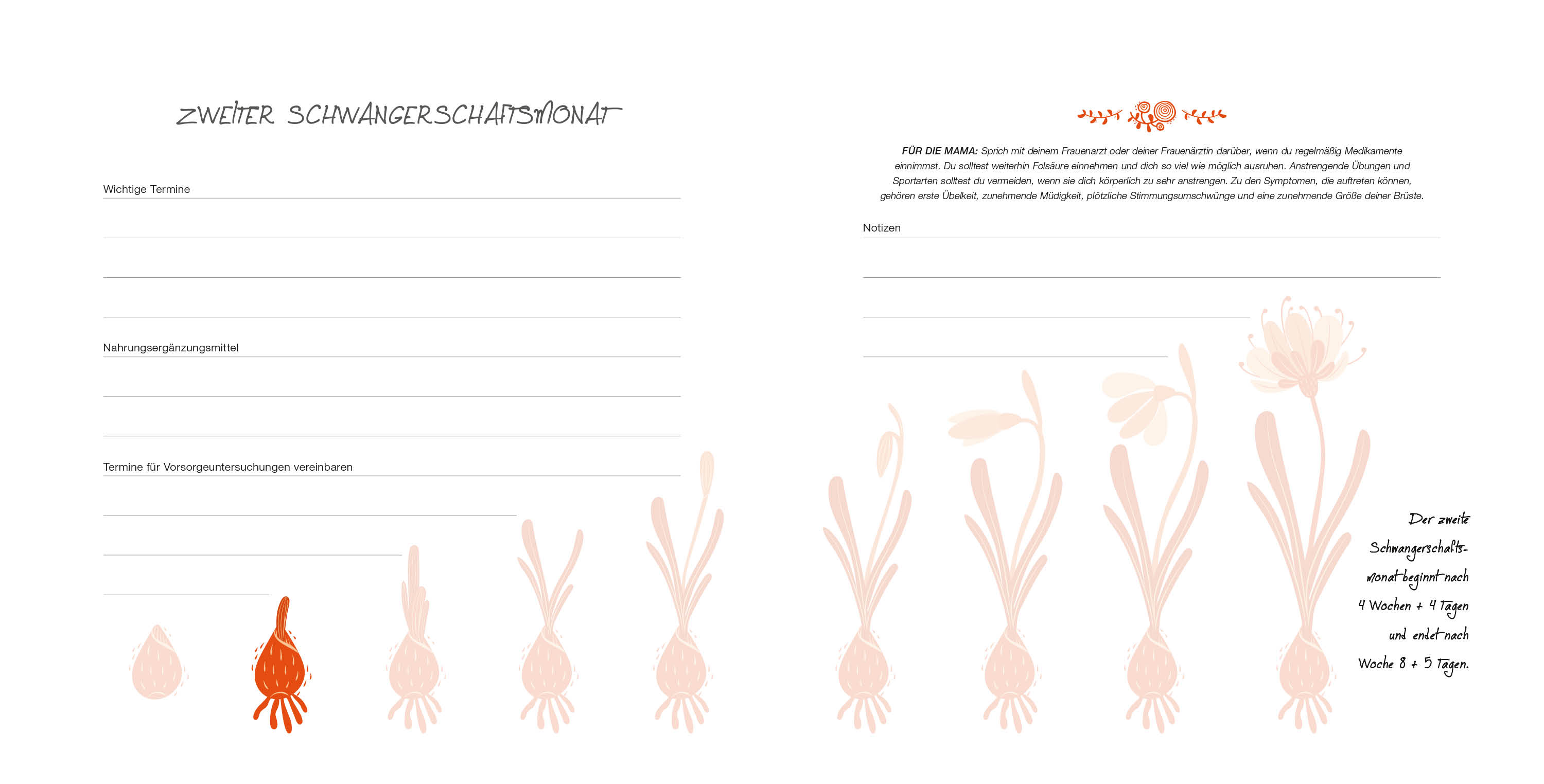 9788863125160_innenansicht_06 9788863125160_innenansicht_06.jpg