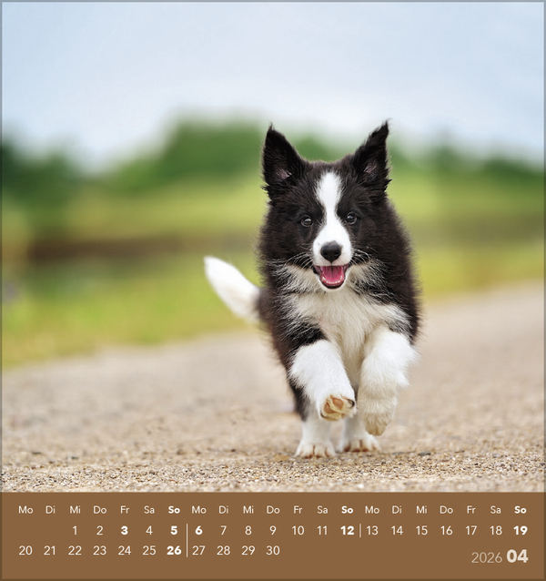 9783731884064_innenansicht_04 9783731884064_innenansicht_04.jpg