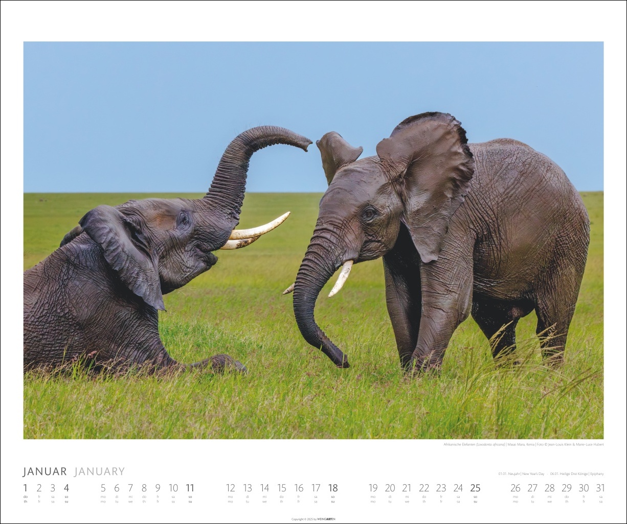 9783839901908_innenansicht_01 9783839901908_innenansicht_01.jpg