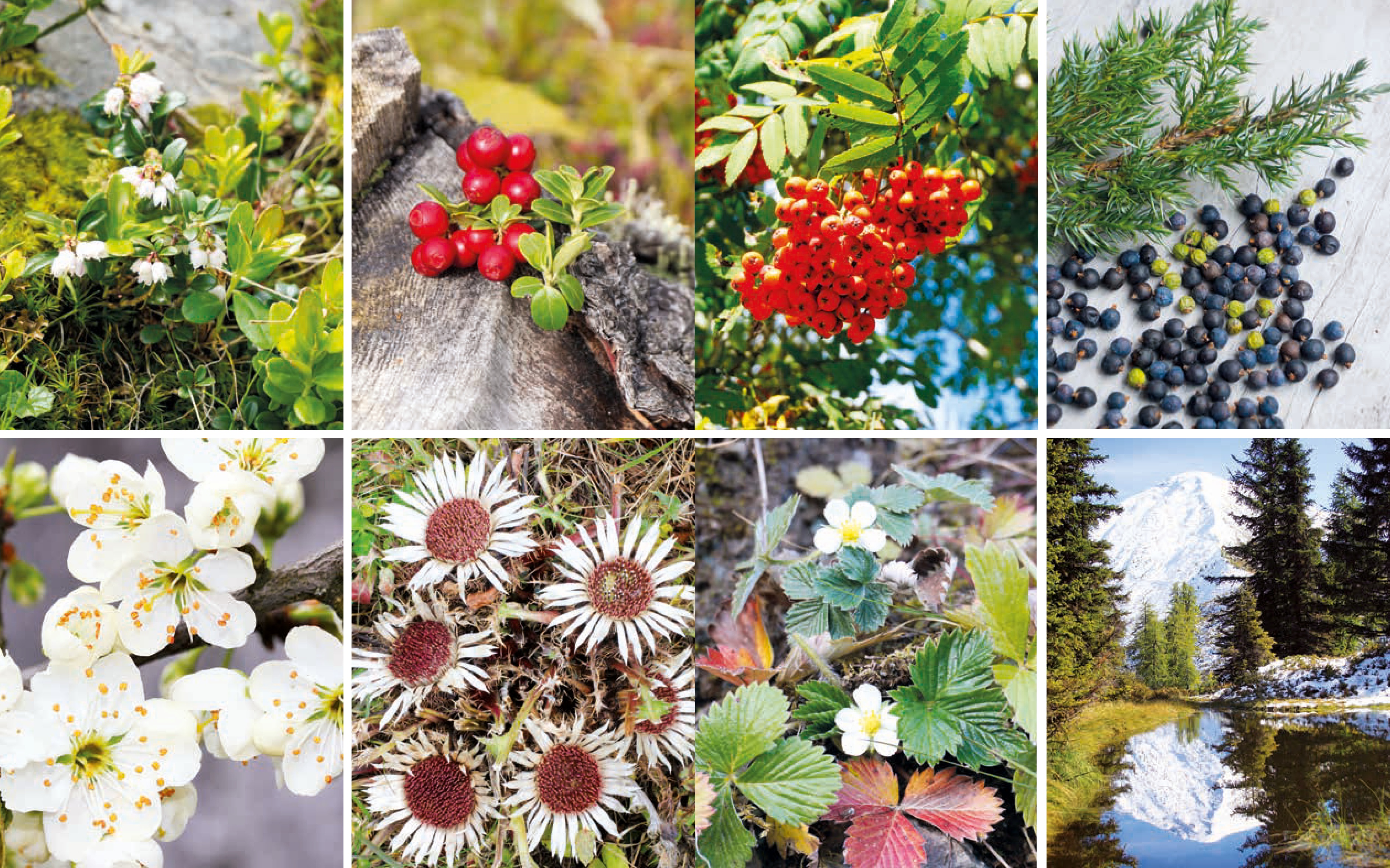 9783702511043_innenansicht_11 9783702511043_innenansicht_11.jpg