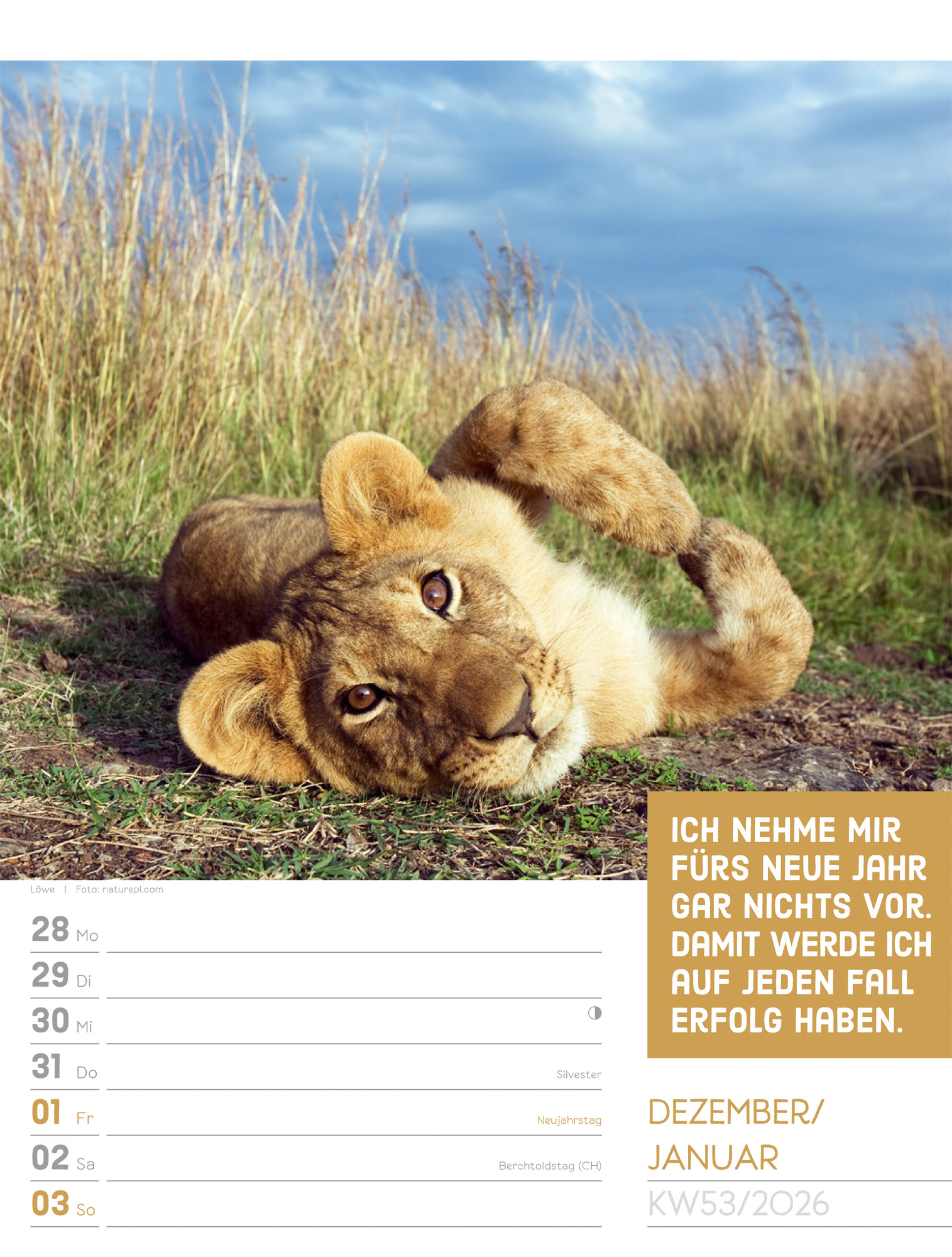 9783838426969_innenansicht_56.jpg