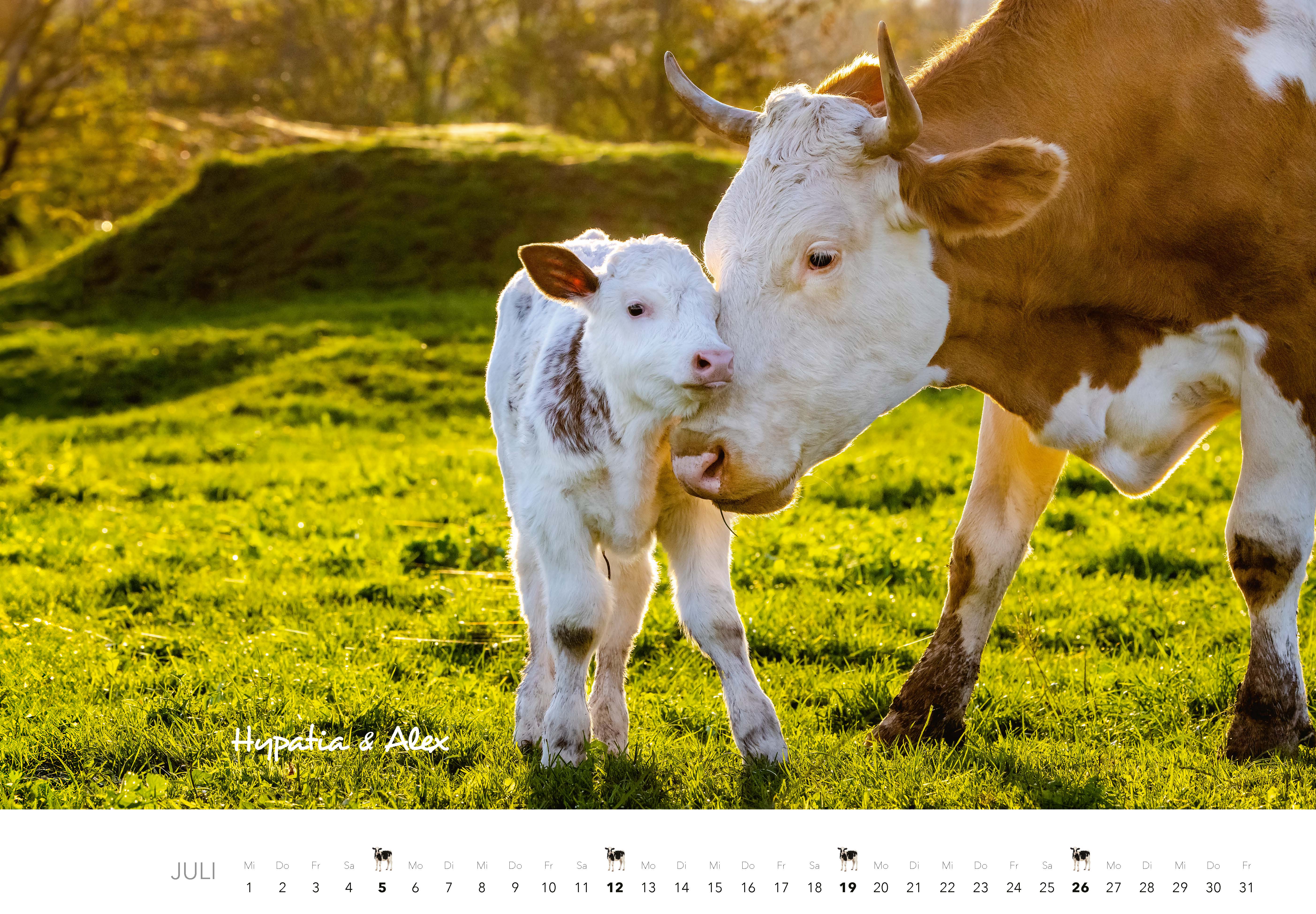 9783966649582_innenansicht_07 9783966649582_innenansicht_07.jpg