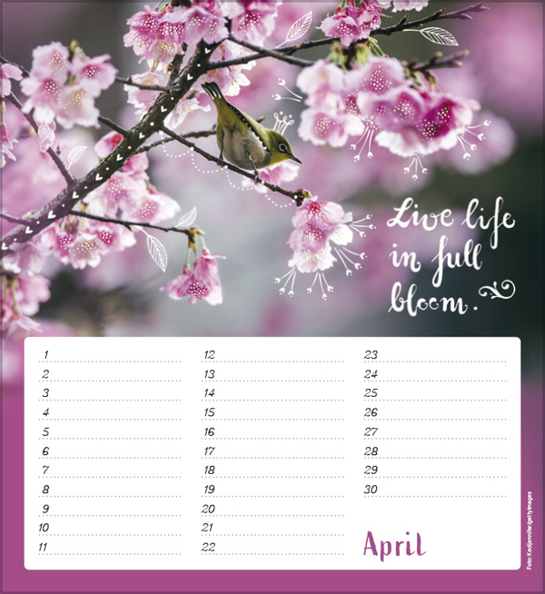 9783731880516_innenansicht_04 9783731880516_innenansicht_04.jpg