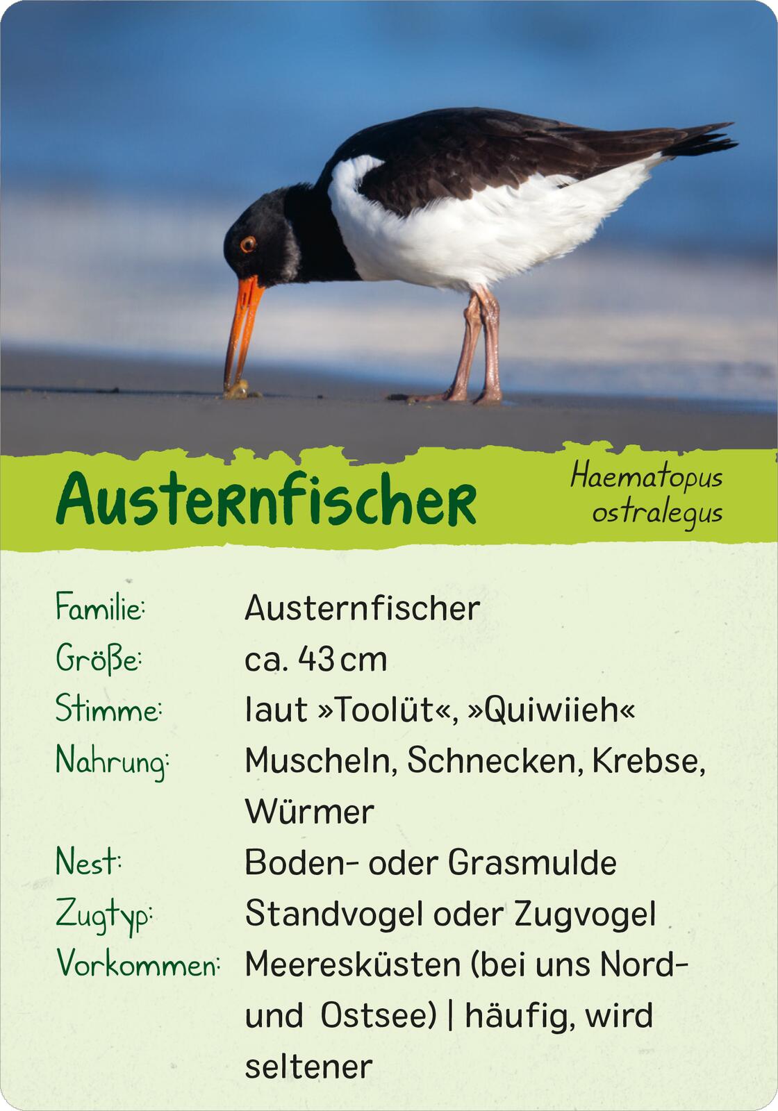 9783845856599_innenansicht_01.jpg