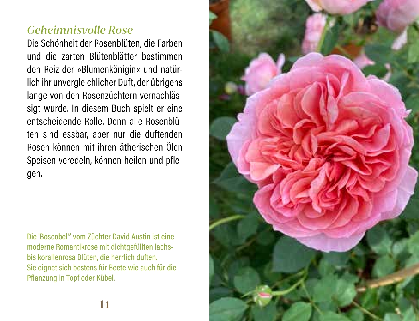 9783897986831_innenansicht_01.jpg