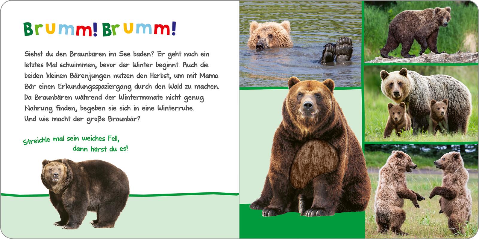9783845853581_innenansicht_01.jpg