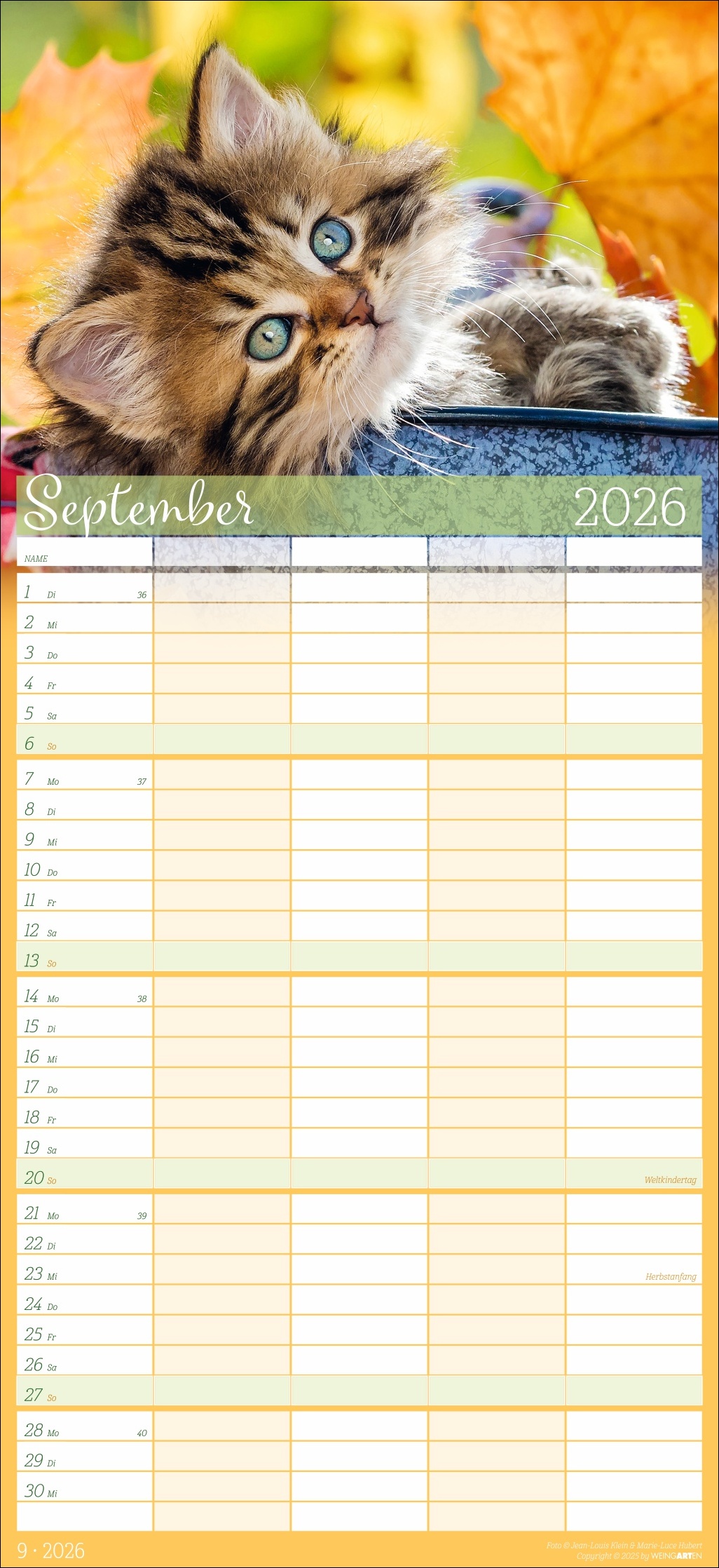 9783839902127_innenansicht_09.jpg