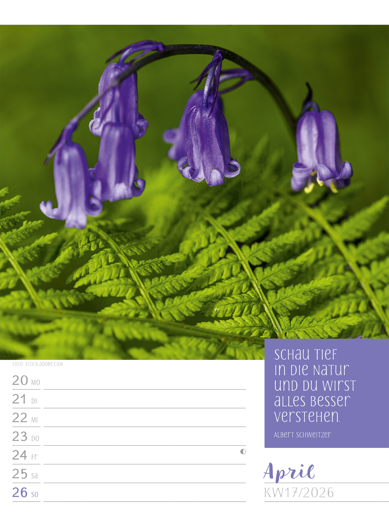 9783838426938_innenansicht_20 9783838426938_innenansicht_20.jpg