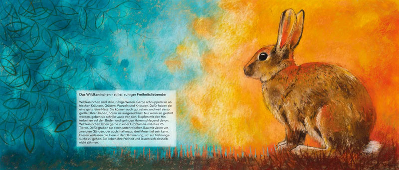 9783963040429_innenansicht_03 9783963040429_innenansicht_03.jpg