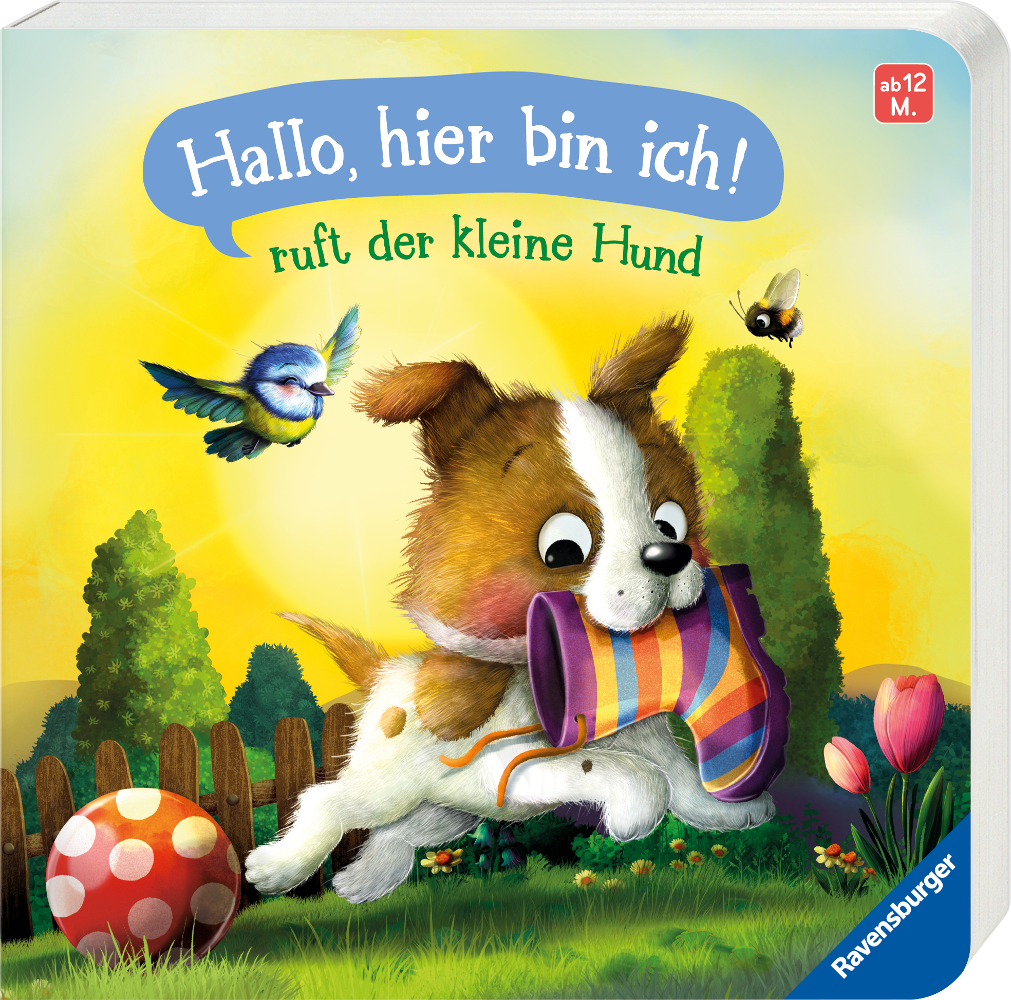 9783473420636_produktbild_01.jpg