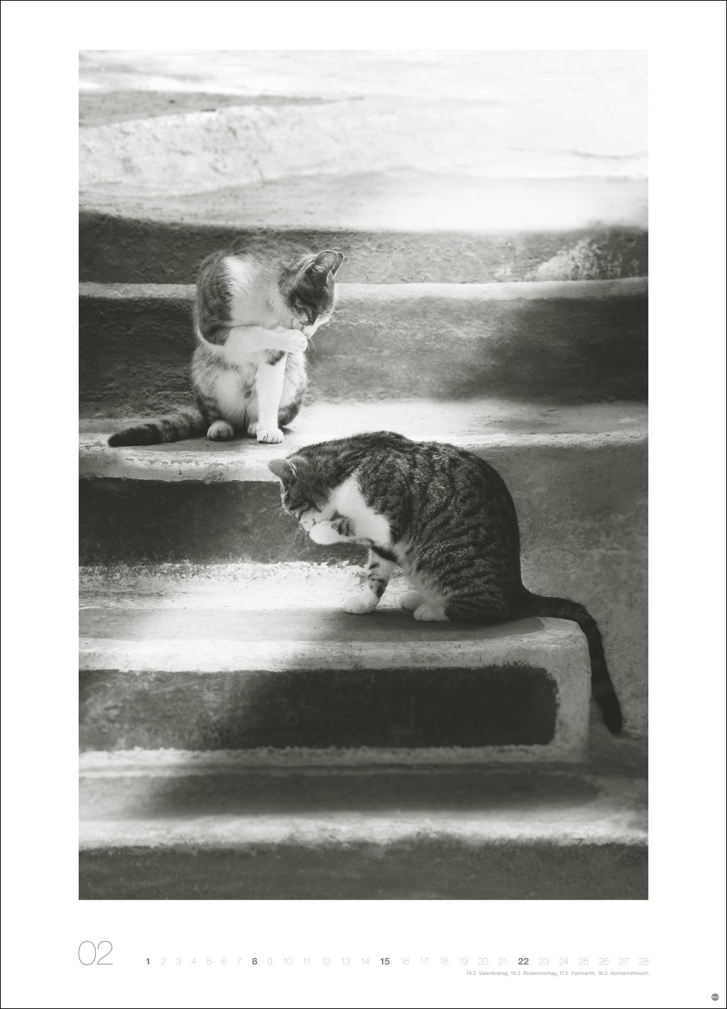 9783756411313_innenansicht_02 9783756411313_innenansicht_02.jpg