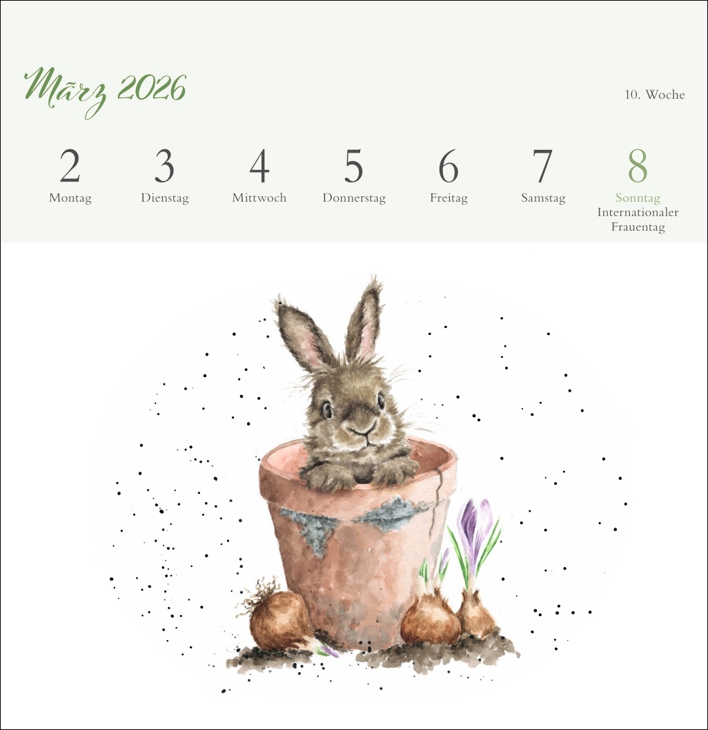 9783756412389_innenansicht_03 9783756412389_innenansicht_03.jpg