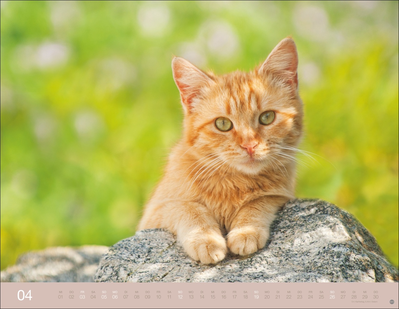 9783756411757_innenansicht_04 9783756411757_innenansicht_04.jpg