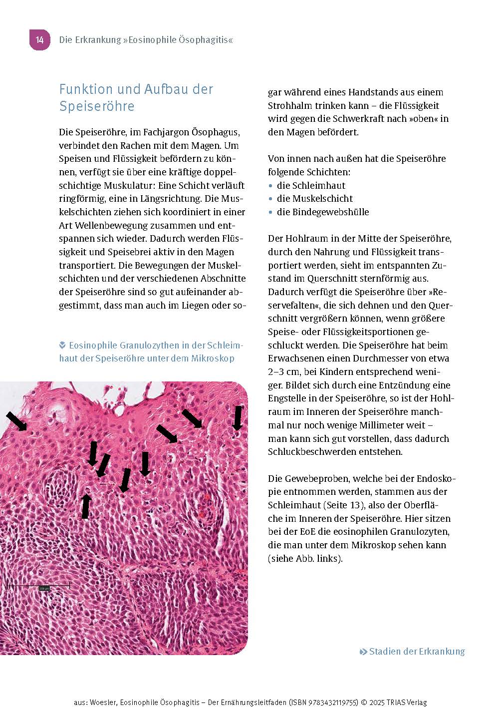 9783432119755_innenansicht_08.jpg