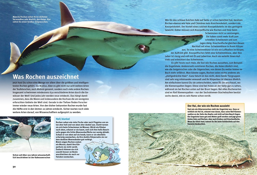 9783866595088_innenansicht_02 9783866595088_innenansicht_02.jpg