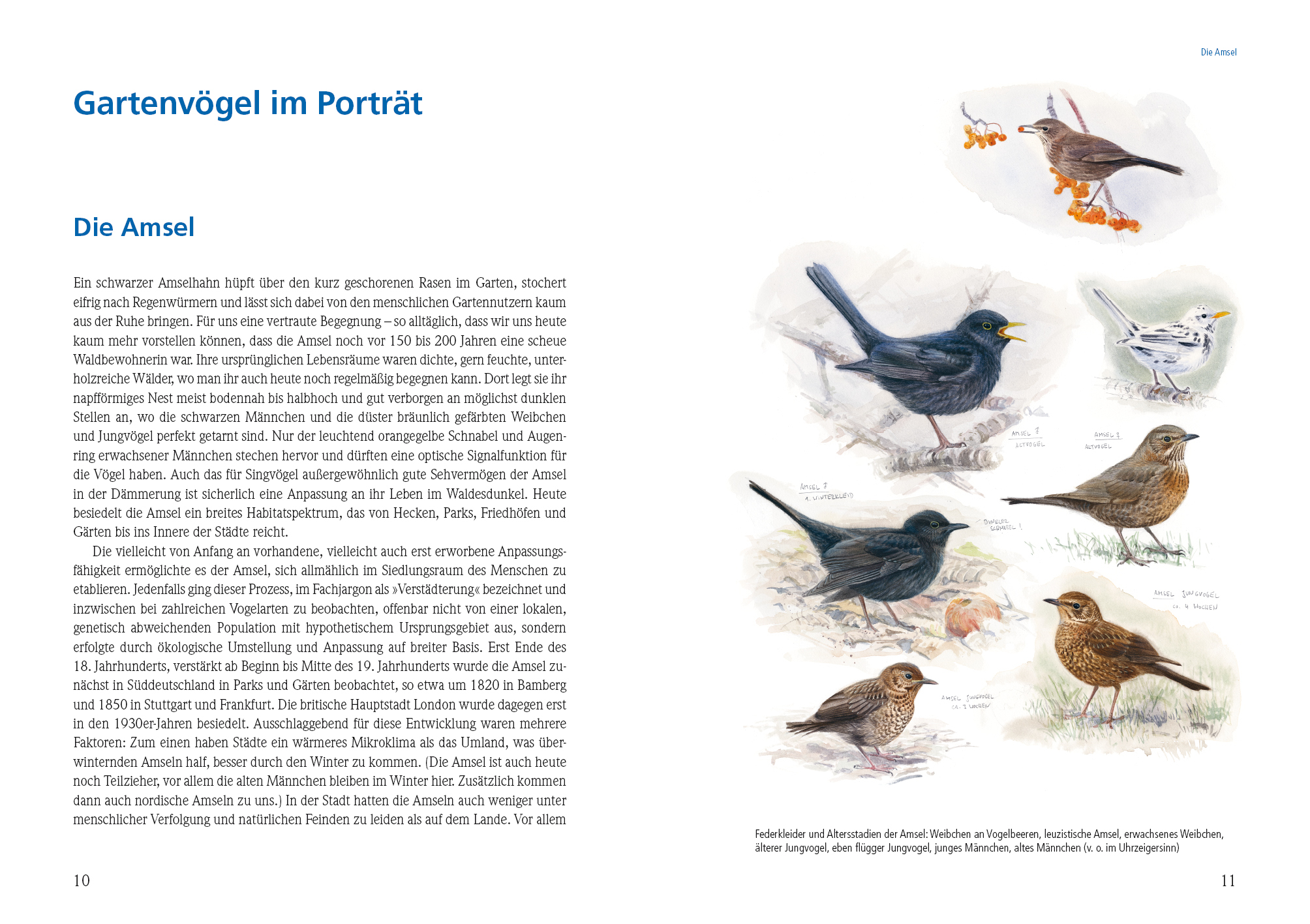 9783895663758_innenansicht_01 9783895663758_innenansicht_01.jpg