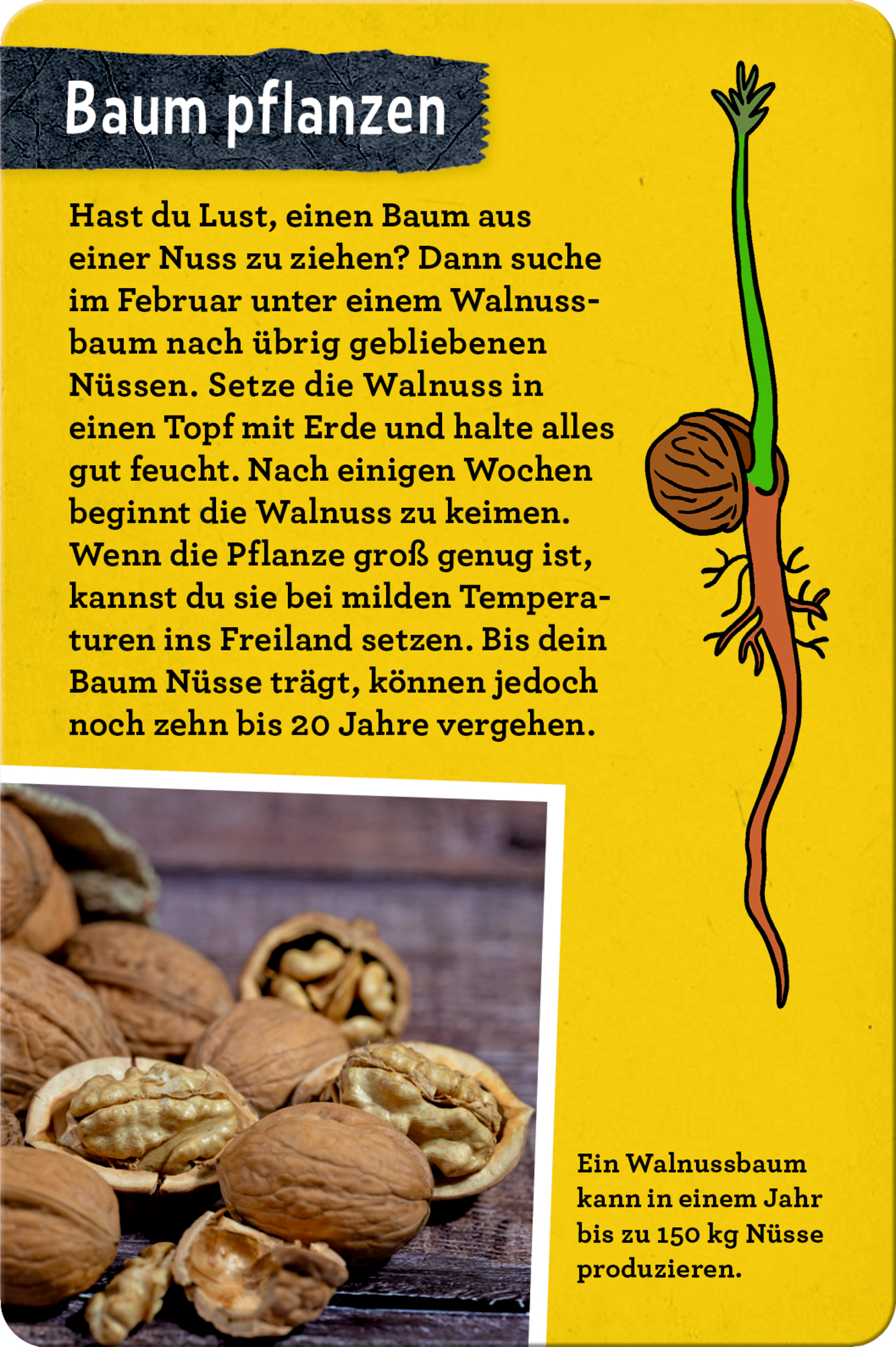 9783649648086_innenansicht_06 9783649648086_innenansicht_06.jpg