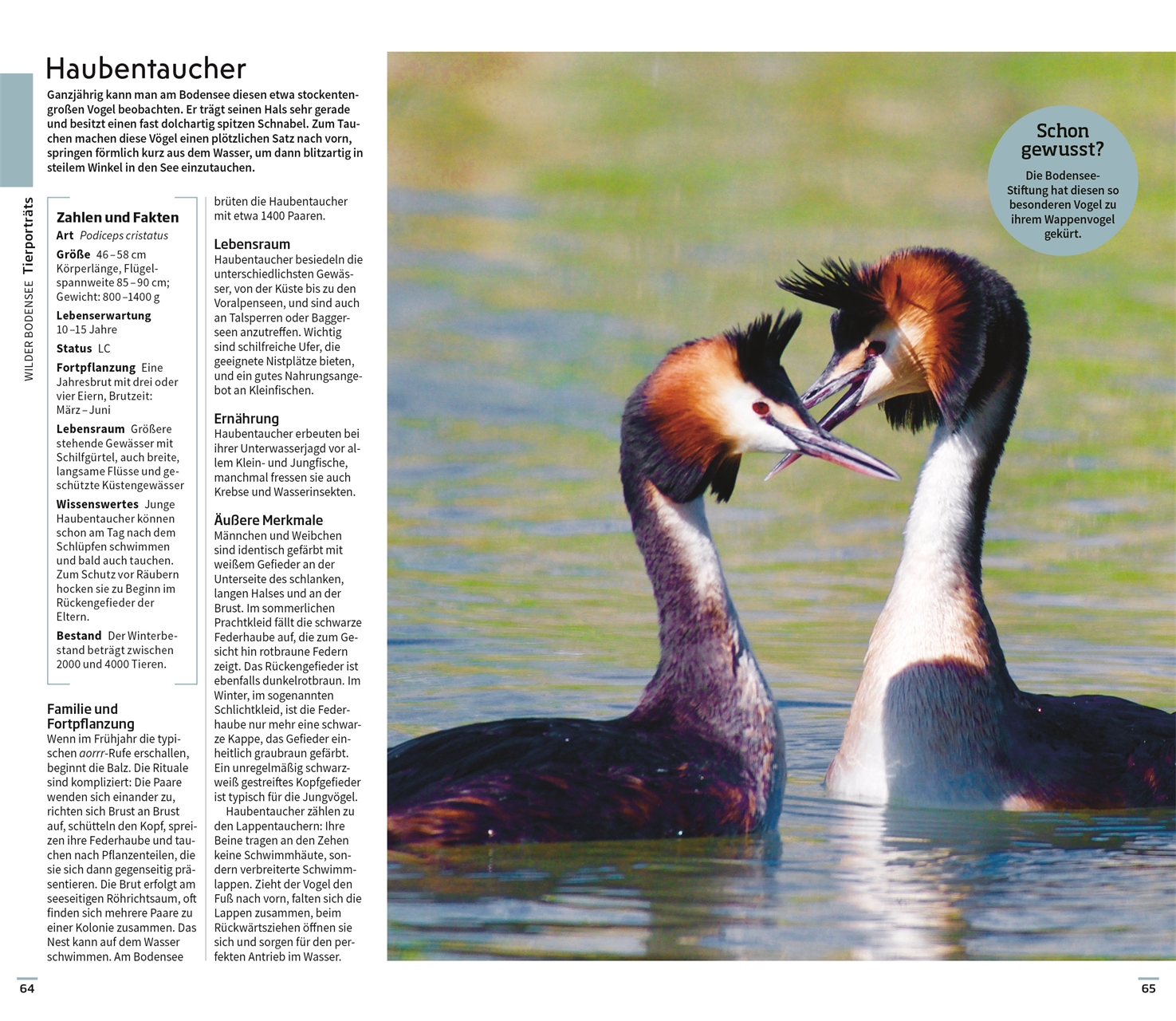 9783734207082_innenansicht_06 9783734207082_innenansicht_06.jpg