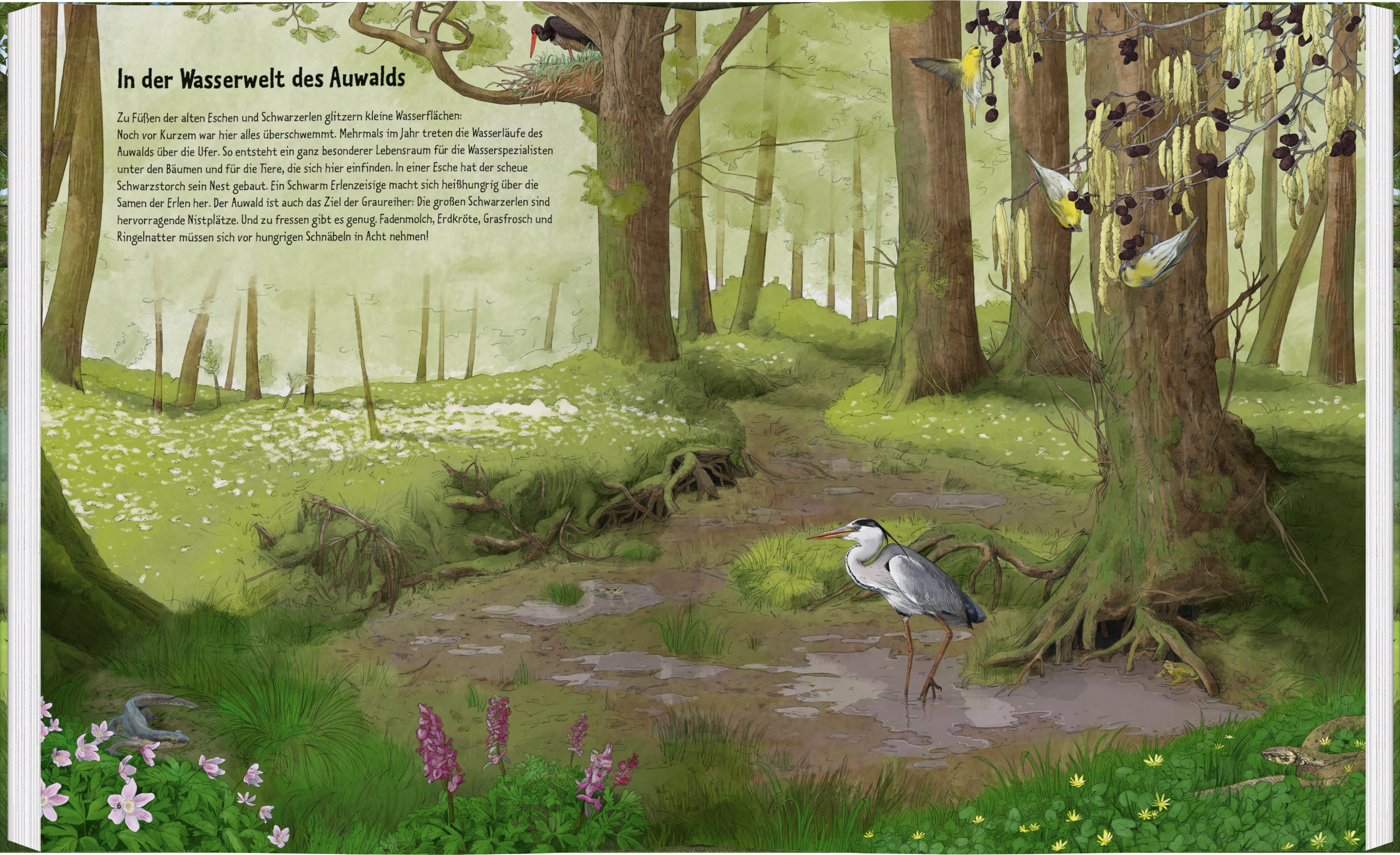 9783836962230_innenansicht_01 9783836962230_innenansicht_01.jpg