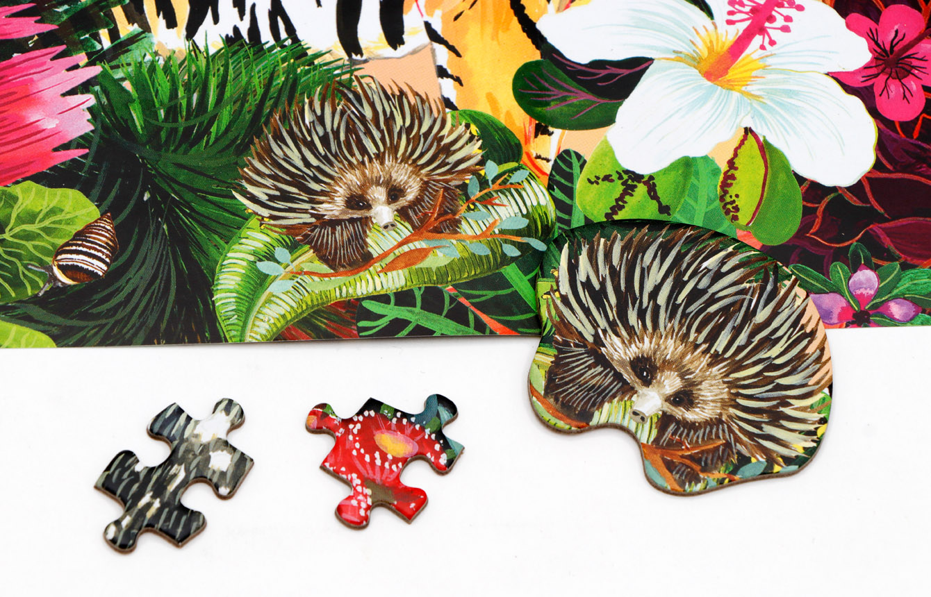 9783962444426_produktbild_07 9783962444426_produktbild_07.jpg