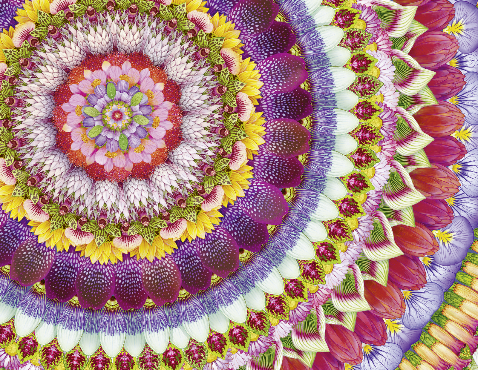 9783949465192_innenansicht_05 9783949465192_innenansicht_05.png