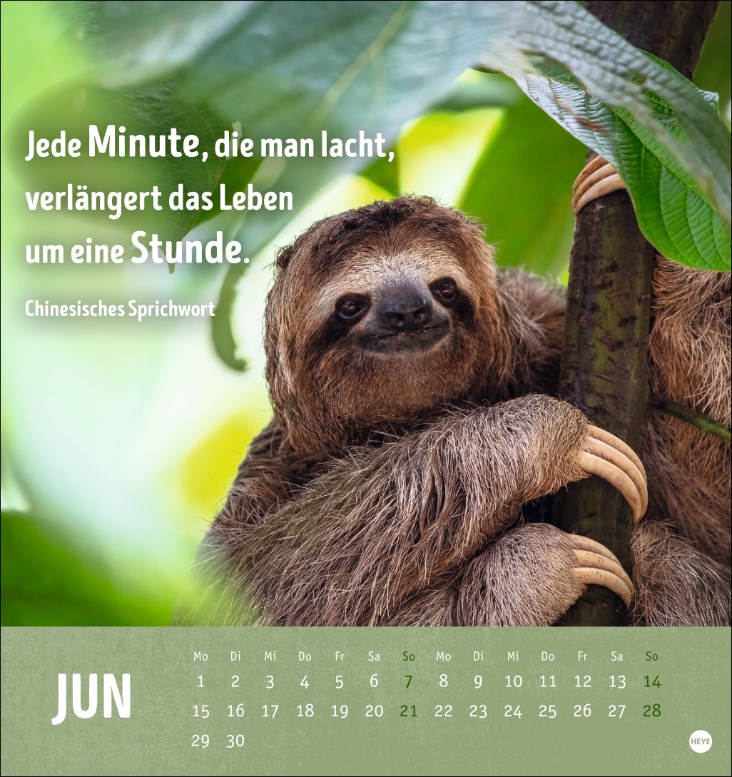 9783756413522_innenansicht_06.jpg