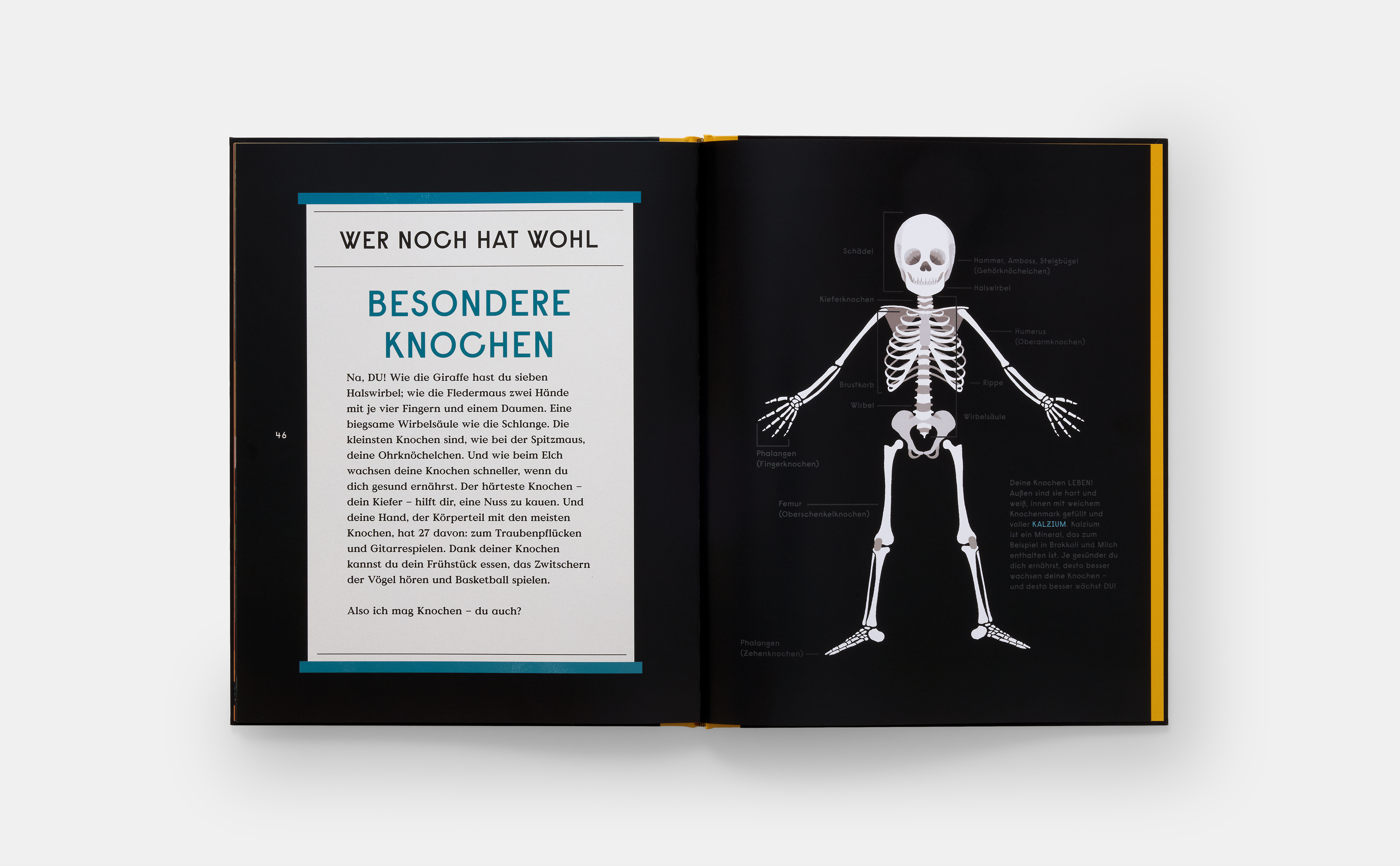 9780714875408_innenansicht_08 9780714875408_innenansicht_08.jpg