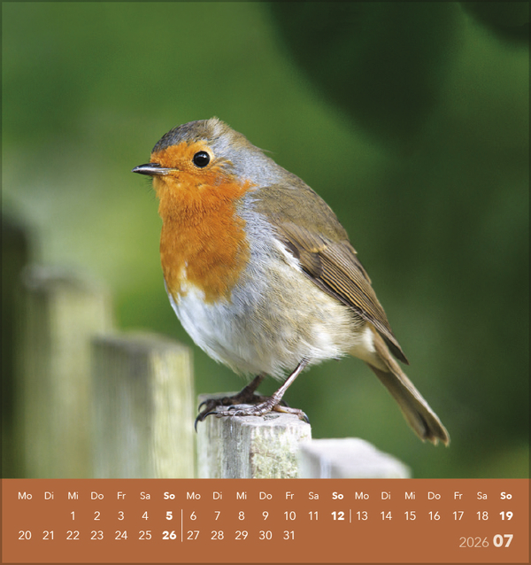 9783731890225_innenansicht_07 9783731890225_innenansicht_07.jpg