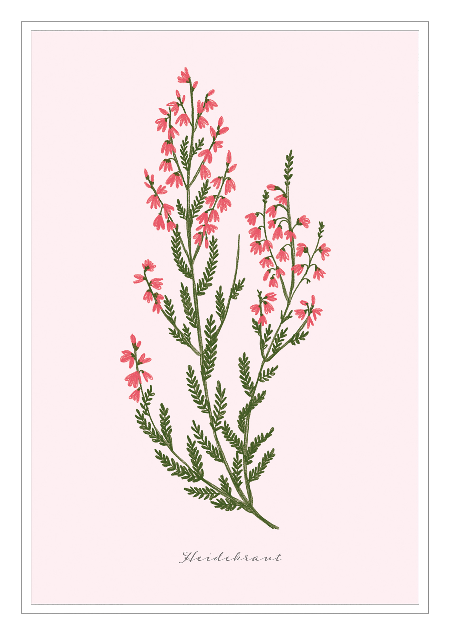 4250222903221_innenansicht_03 4250222903221_innenansicht_03.jpg