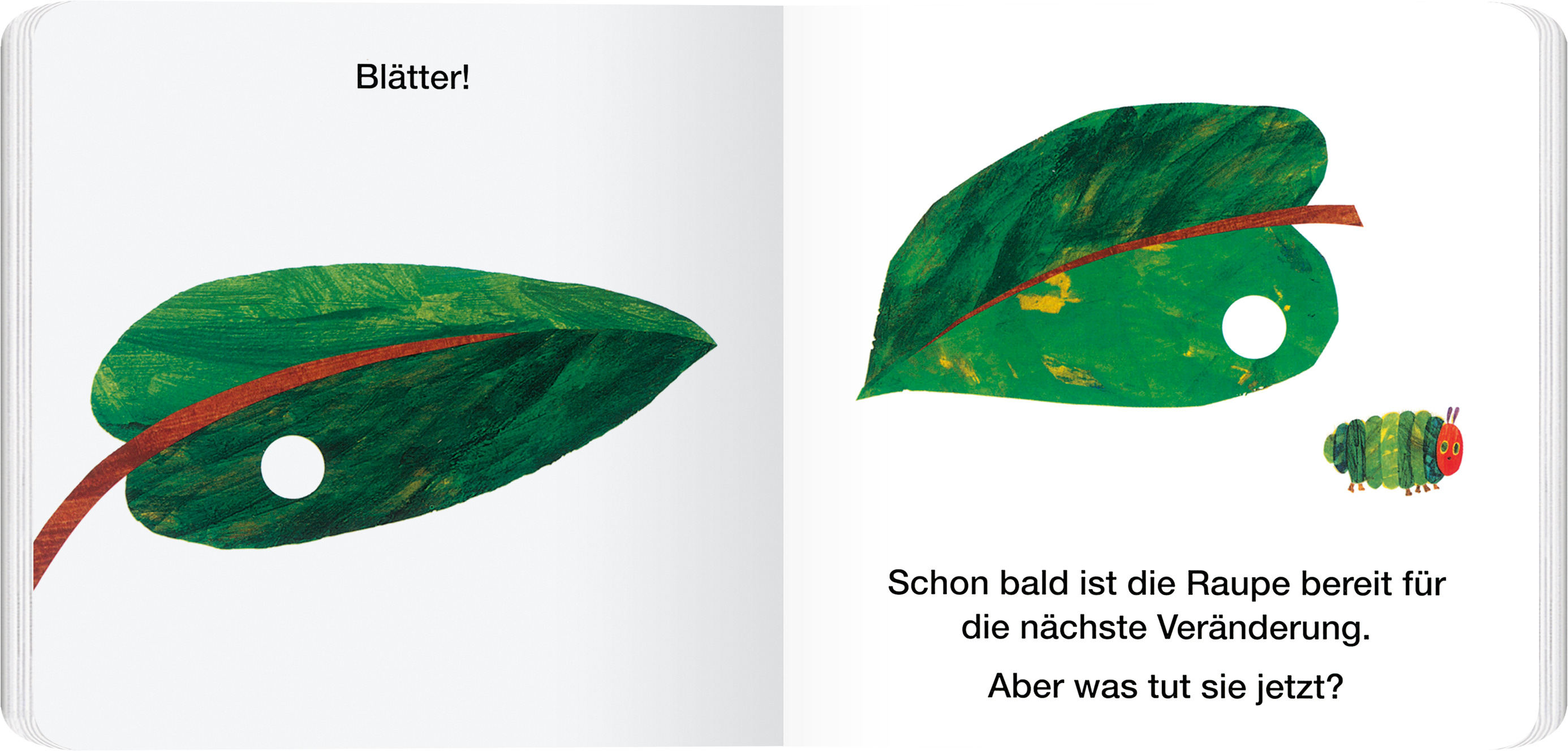 9783836963008_innenansicht_01.jpg