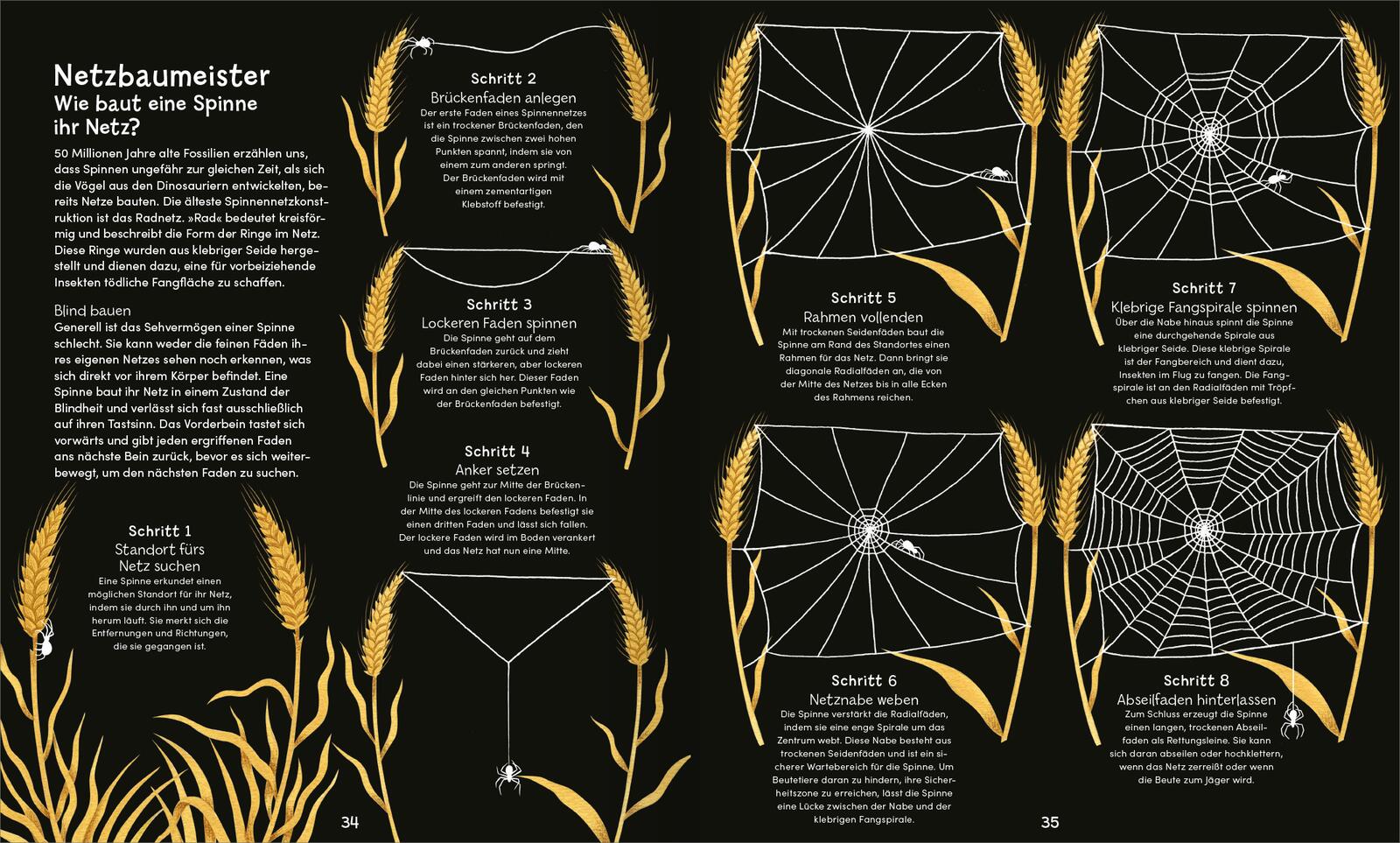 9783845865515_innenansicht_03 9783845865515_innenansicht_03.jpg