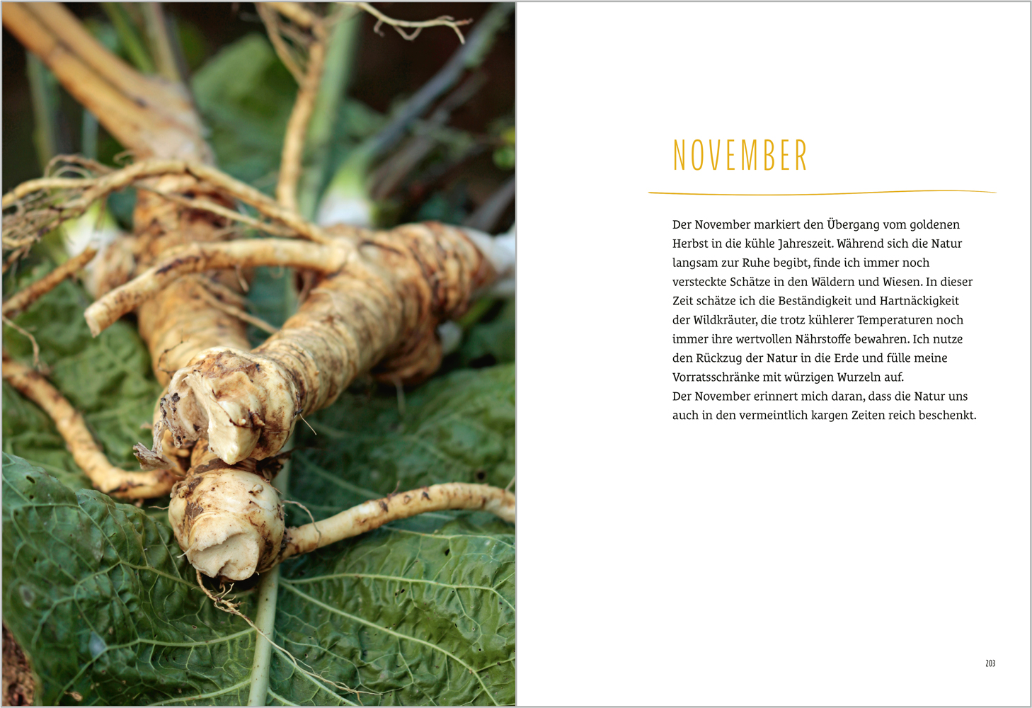 9783987260681_innenansicht_04 9783987260681_innenansicht_04.jpg