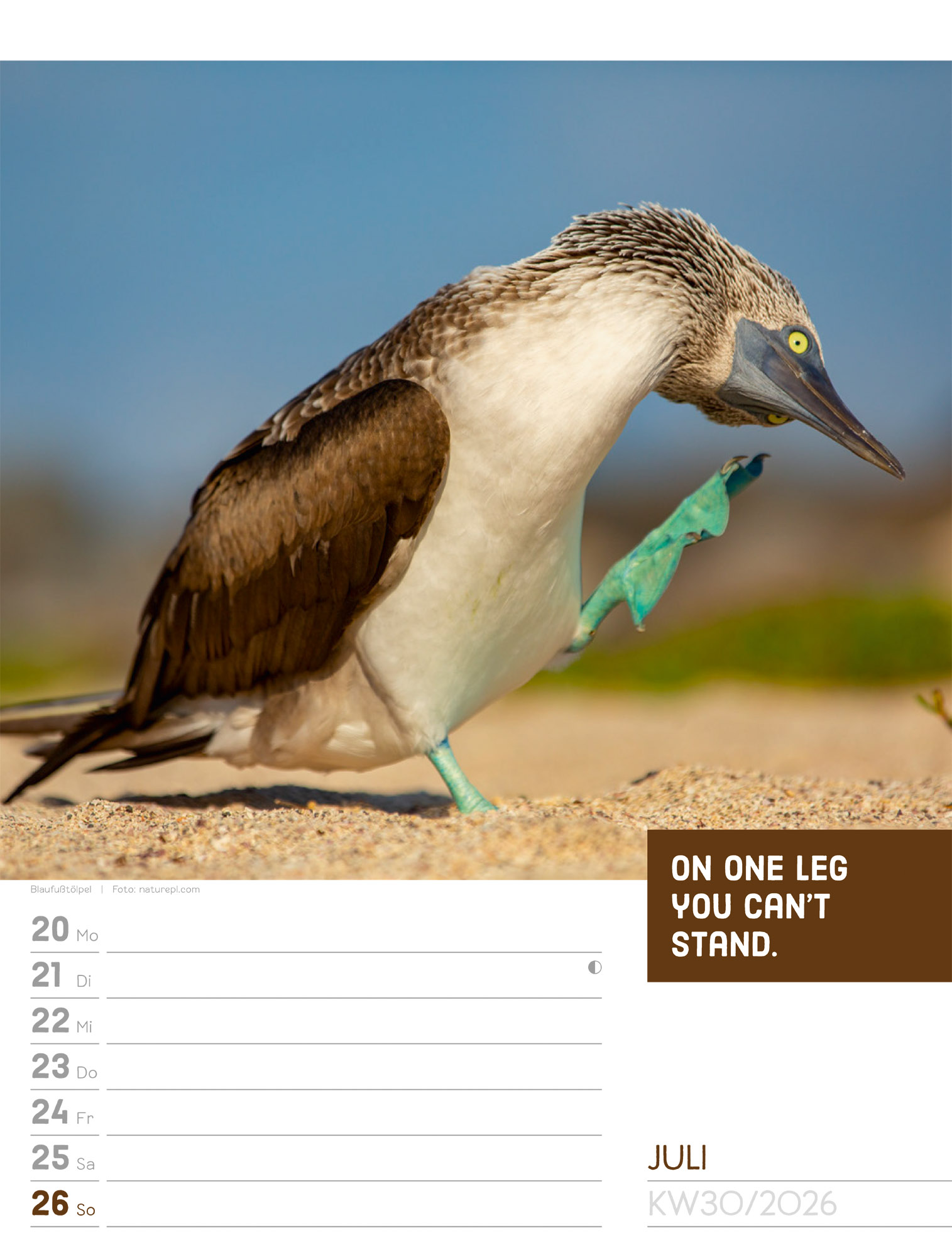 9783838426969_innenansicht_33 9783838426969_innenansicht_33.jpg