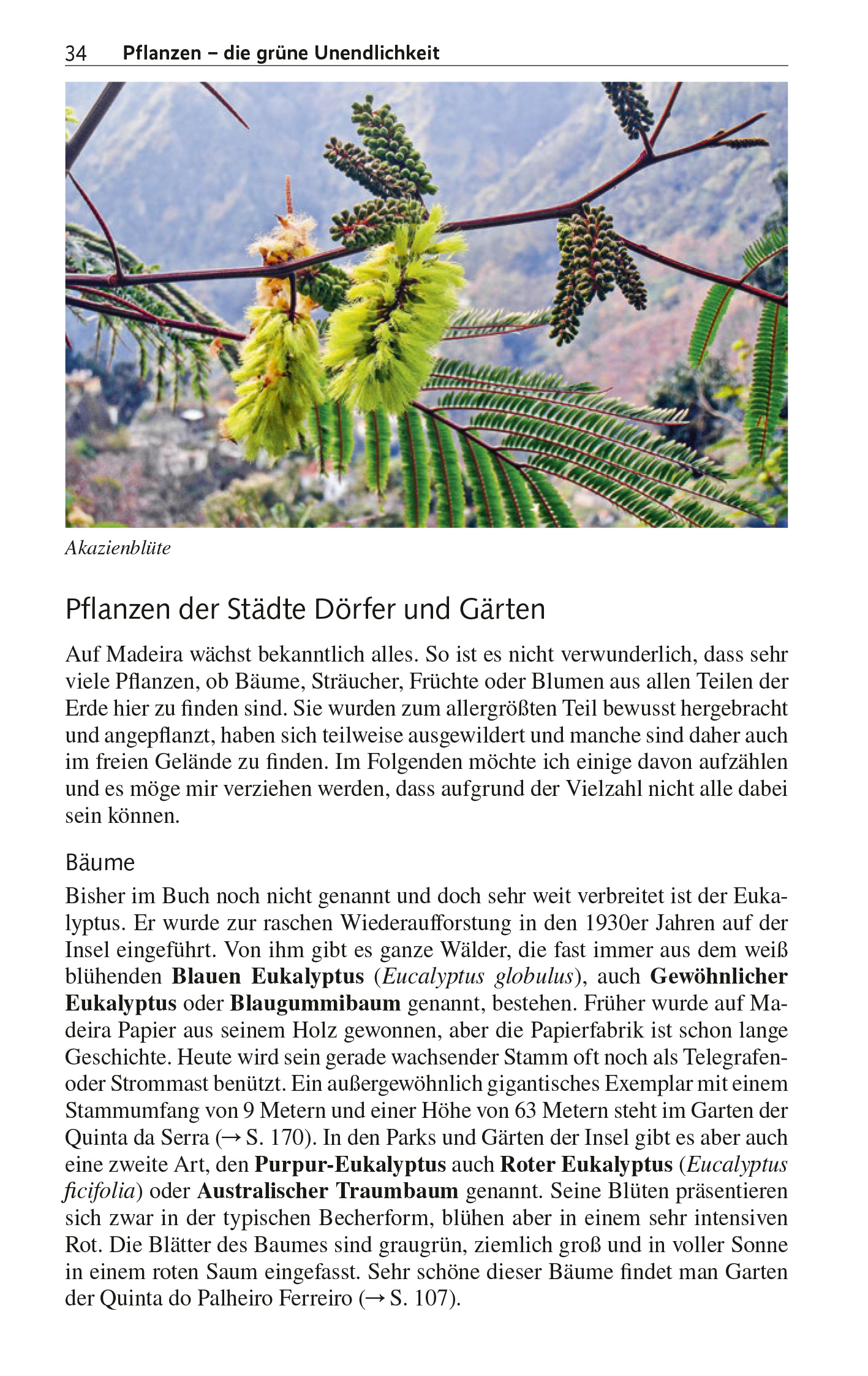 9783897946408_innenansicht_13.jpg