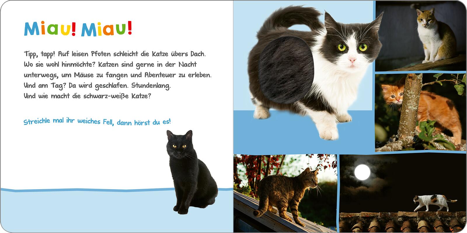 9783845858326_innenansicht_02.jpg