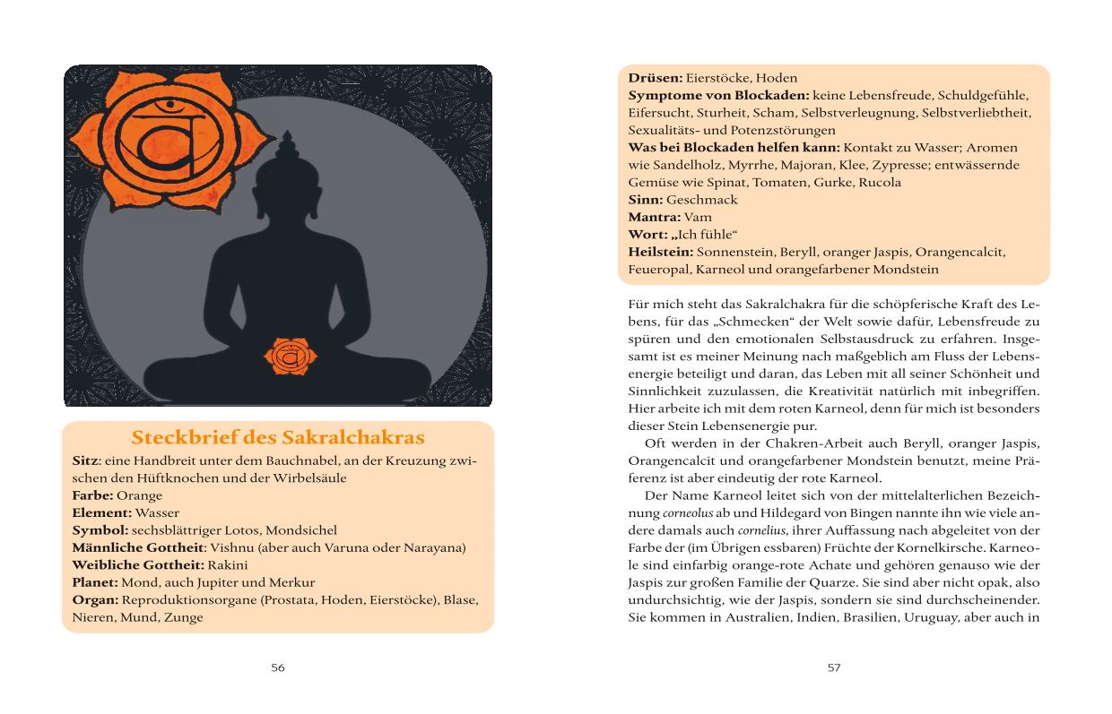 9783833893599_innenansicht_04 9783833893599_innenansicht_04.jpg