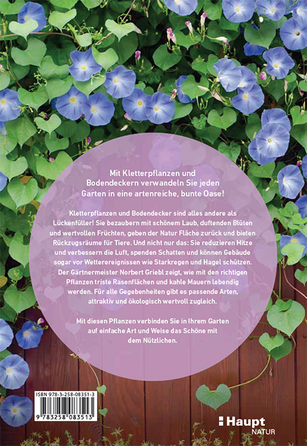 9783258083513_BC 9783258083513_BC.jpg