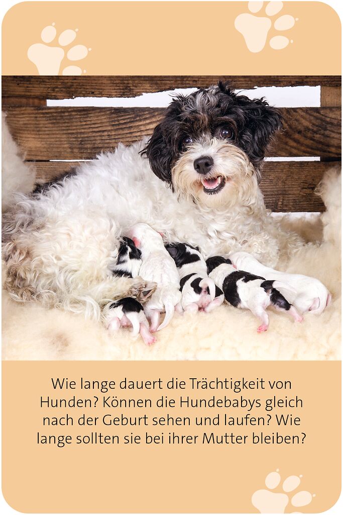 9783964553607_innenansicht_07.jpg