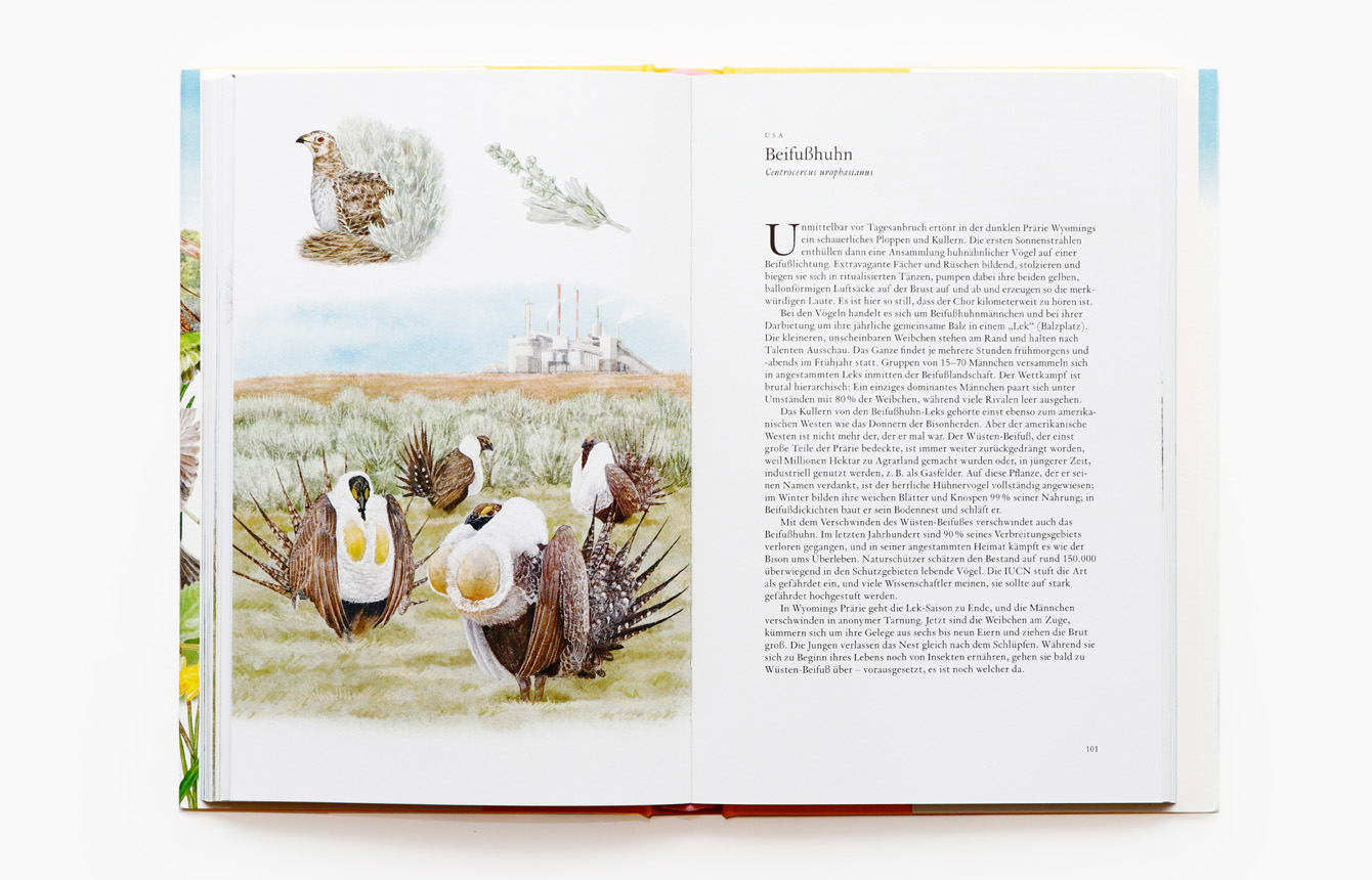 9783962442330_innenansicht_03 9783962442330_innenansicht_03.jpg