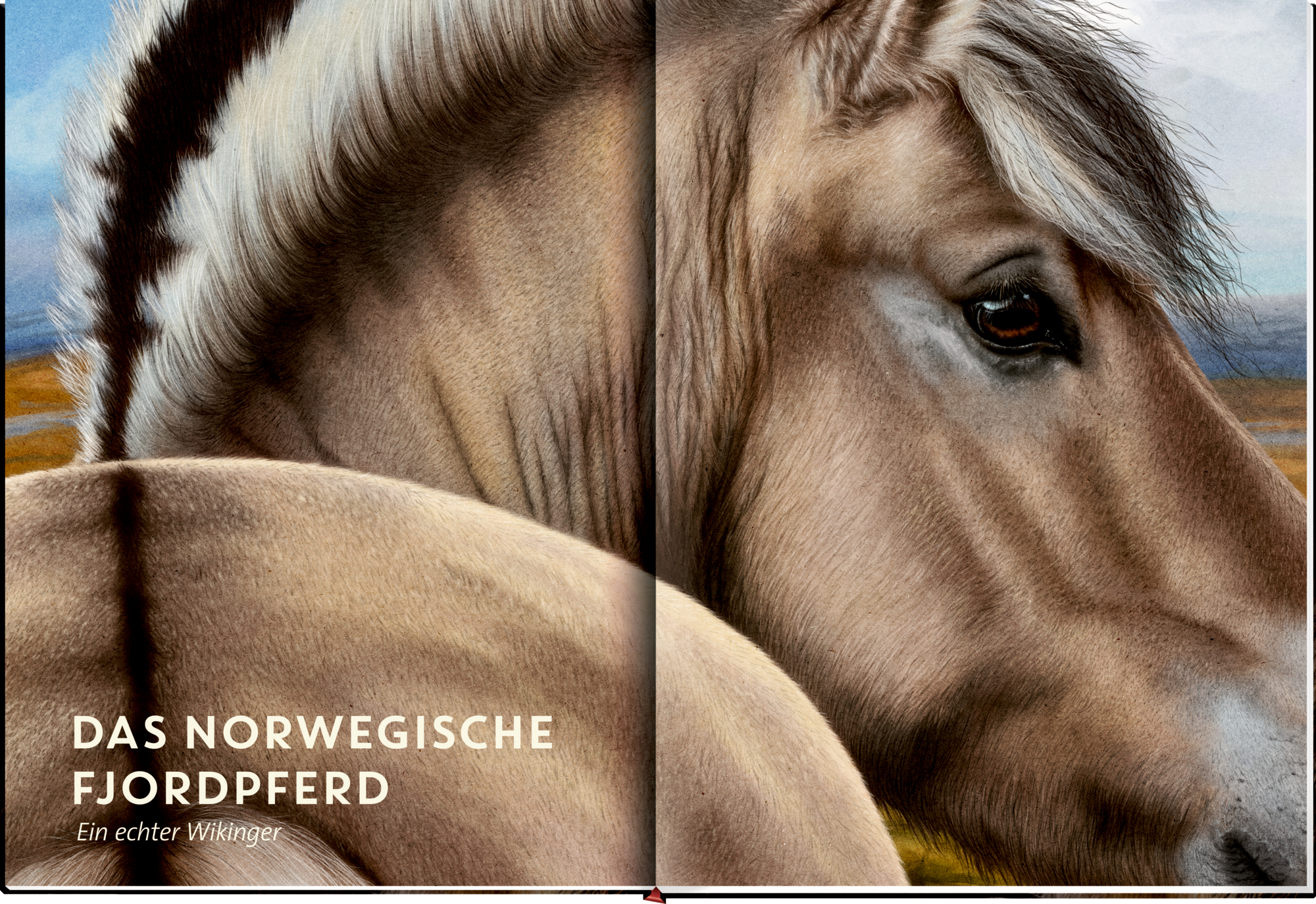 9783649646495_innenansicht_05 9783649646495_innenansicht_05.jpg