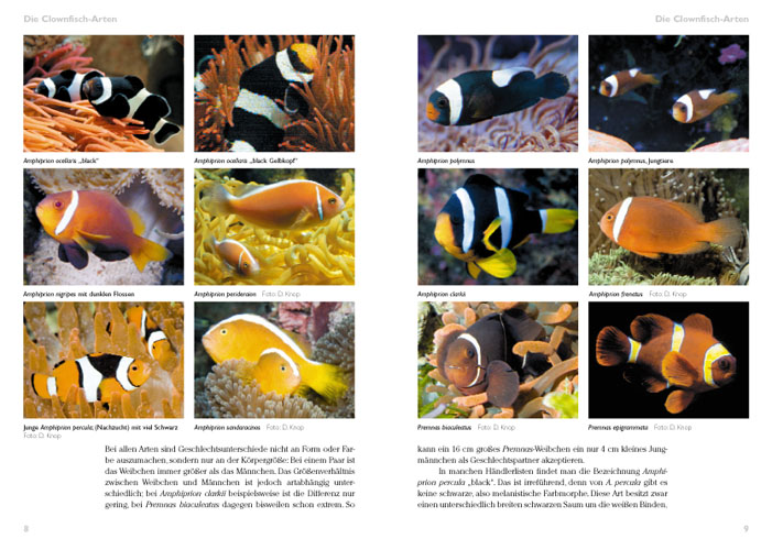 9783866590564_innenansicht_01 9783866590564_innenansicht_01.jpg