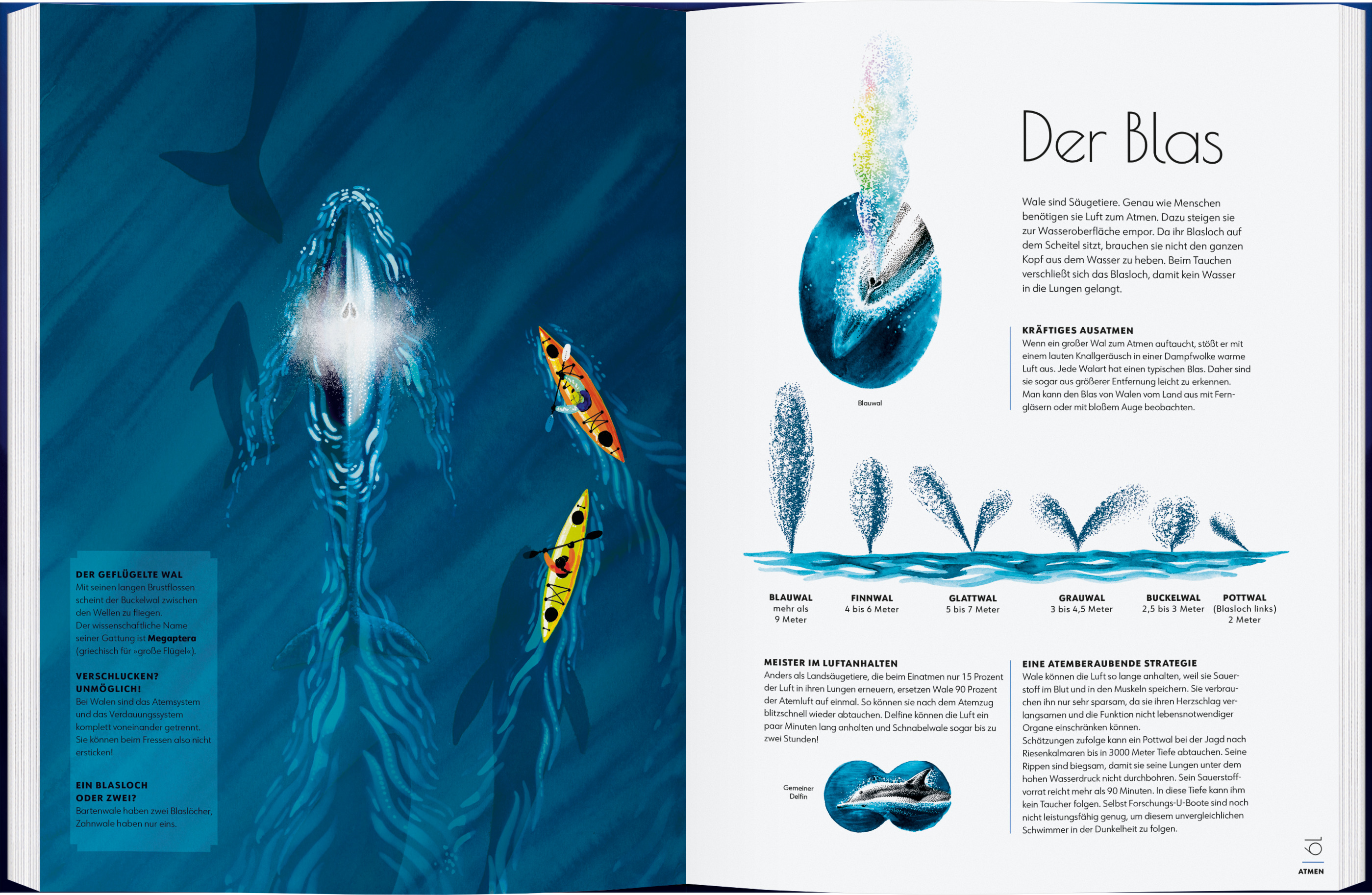 9783836963336_innenansicht_03.jpg