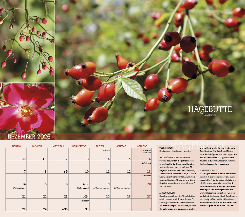 9783861925309_innenansicht_12 9783861925309_innenansicht_12.jpg