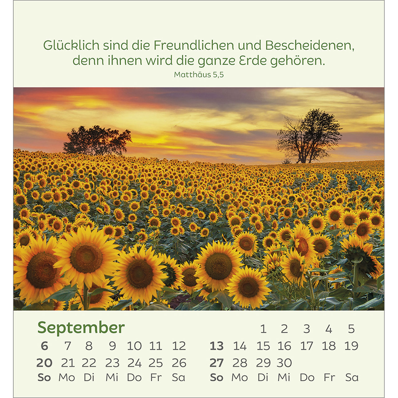 9783754847060_innenansicht_09.jpg