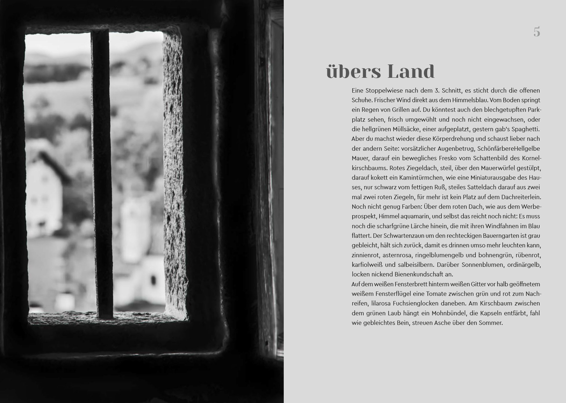 9788868397975_innenansicht_01 9788868397975_innenansicht_01.jpg