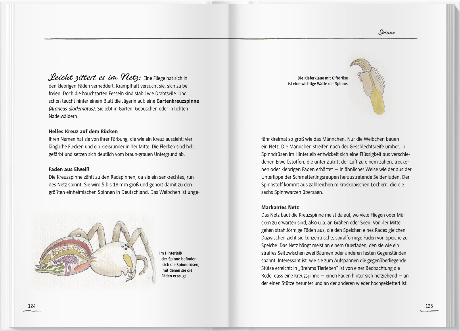 9783784357348_innenansicht_09 9783784357348_innenansicht_09.jpg