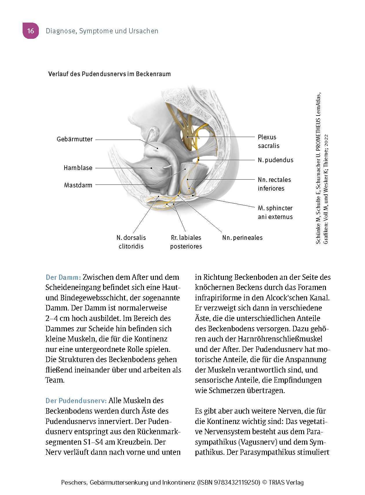 9783432119250_innenansicht_13 9783432119250_innenansicht_13.png